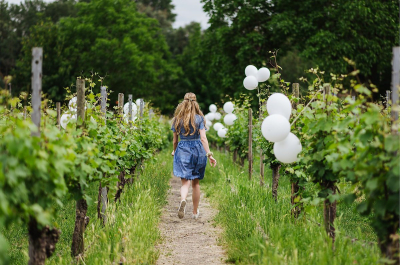 Hochzeit_im_Rheingau_Hochzeitsfotograf_031