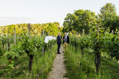 Hochzeit_im_Rheingau_Hochzeitsfotograf_077