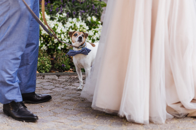 Standesamt_Hochzeit_Bad_Homburg_010