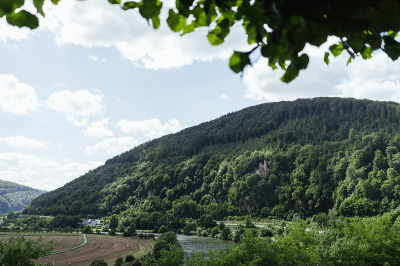 Standesamt_im_freien_Mittenberg_009