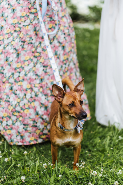 Standesamt_Hochzeit_BadNauheim_030